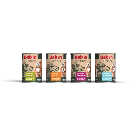 Bab'in Terrine pour chien - Saumon - Haute digestibilité - Garantie sans céréales ni gluten - Mono-protéine animale Saumon