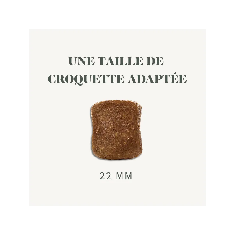 Croquettes Sans Céréales Mini Babin | Petits chiens sensibles