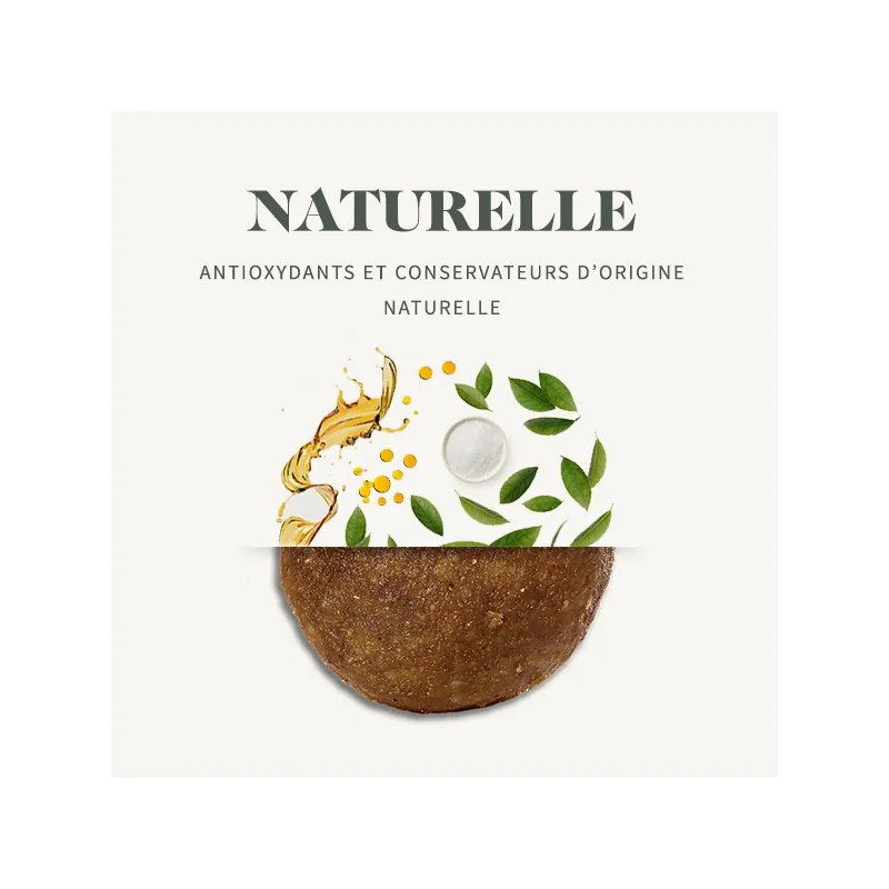 Croquettes chien Junior Médium Babin au poulet | Croissance et vitalité