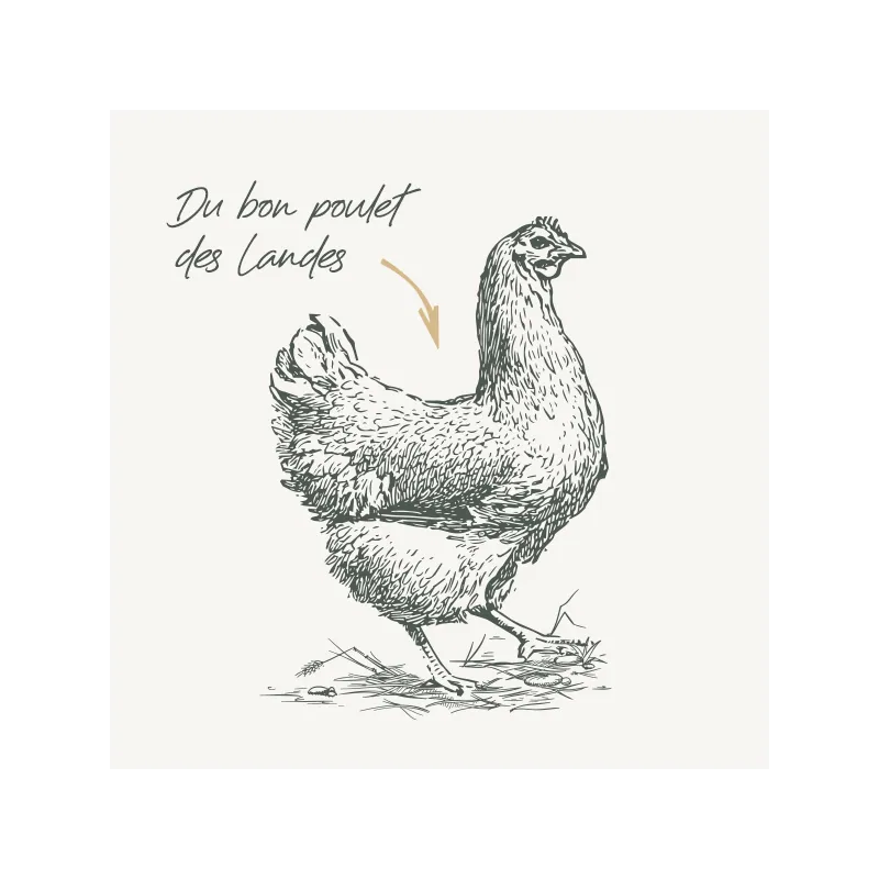 Croquettes chien Junior Médium Babin au poulet | Croissance et vitalité