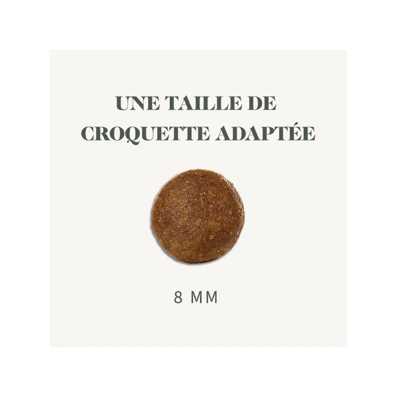 Bab'in Croquettes pour chien Mini junior - Poulet. Favorise la croissance. Taux élevé de protéines de haute qualité.