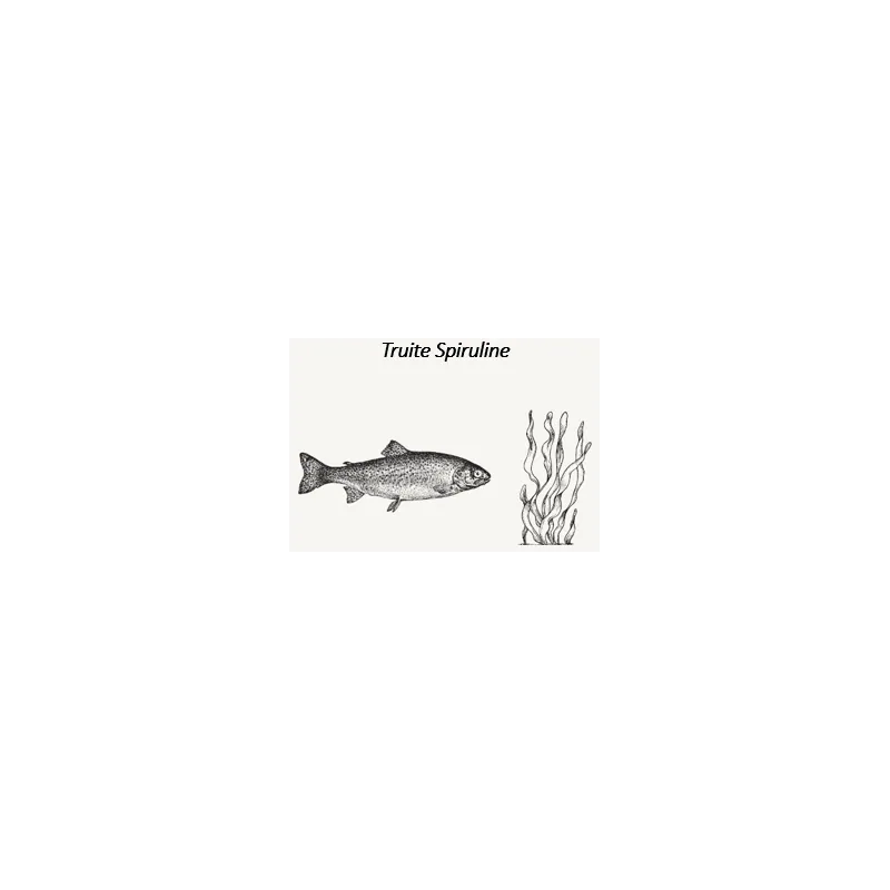 Bab'in - Moelleux par Thierry Marx pour Chien et Chat Toutes tailles - Saveur Poisson 150g - Sans céréales