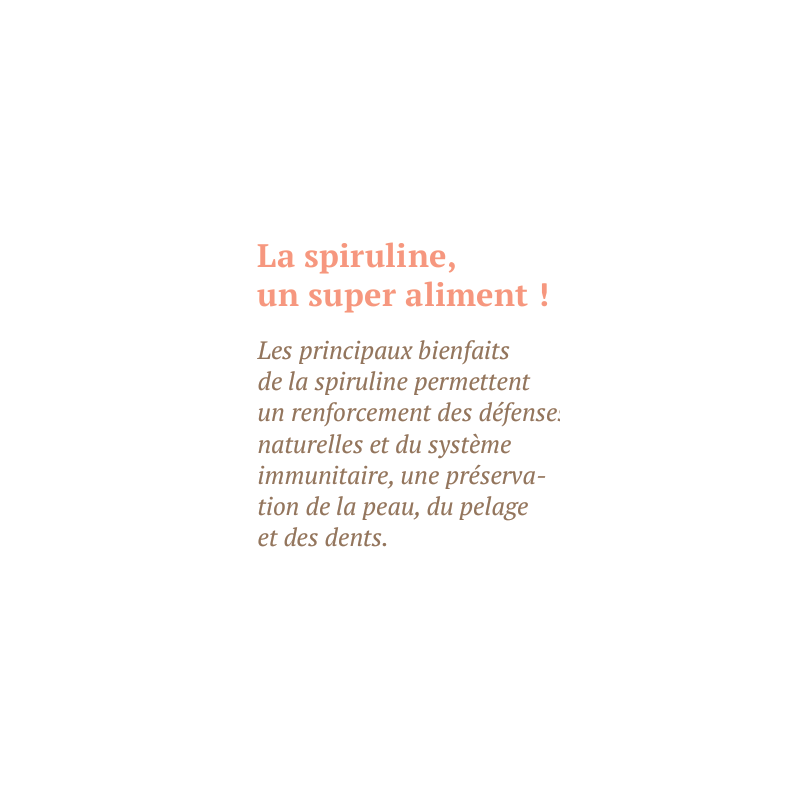 Bab'in - Moelleux par Thierry Marx pour Chien et Chat Toutes tailles - Saveur Poisson 150g - Sans céréales