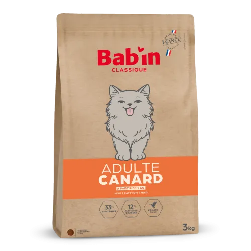 Chat Adulte Classique - Canard