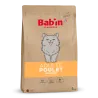 Chat Adulte Classique - Poulet