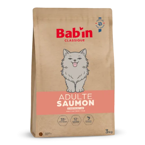 Chat Adulte Classique - Saumon