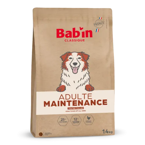Adulte Maintenance - Poulet