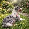 Bandana Babin | Accessoires pour chien et chat