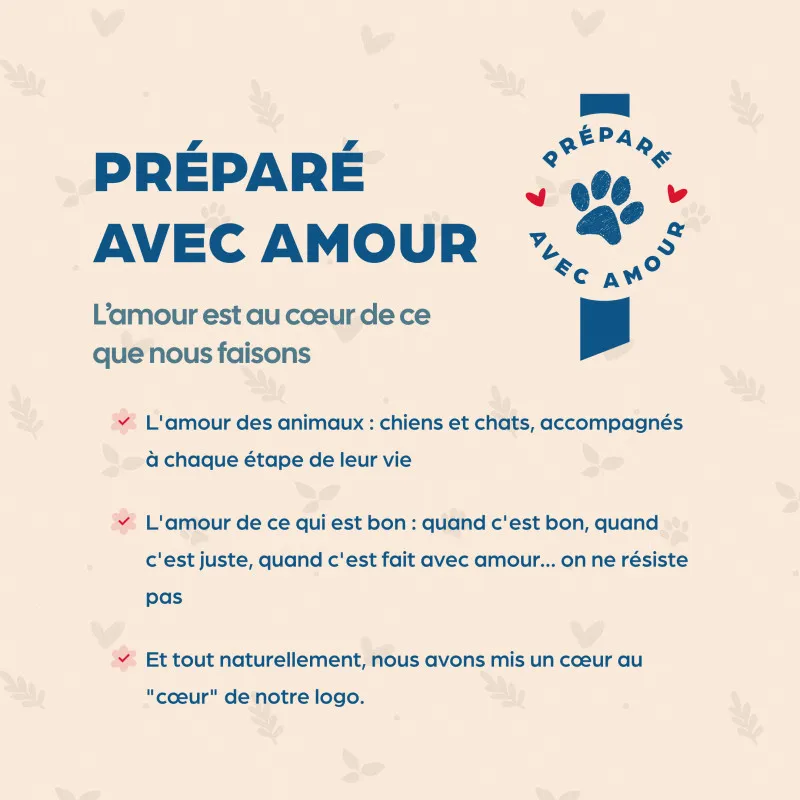 Croquettes sans céréales Bab'in pour chats adultes sensibles ou allergiques