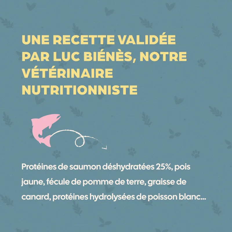 Croquettes sans céréales Bab'in pour chats adultes sensibles ou allergiques
