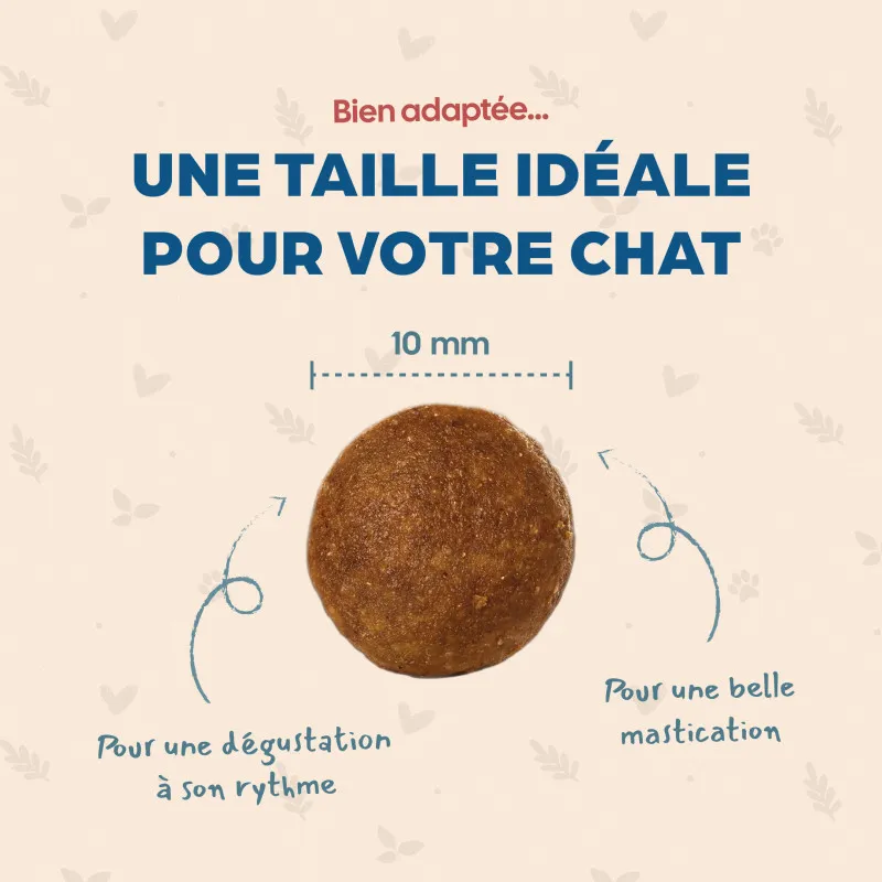 Croquettes sans céréales Bab'in pour chats adultes sensibles ou allergiques
