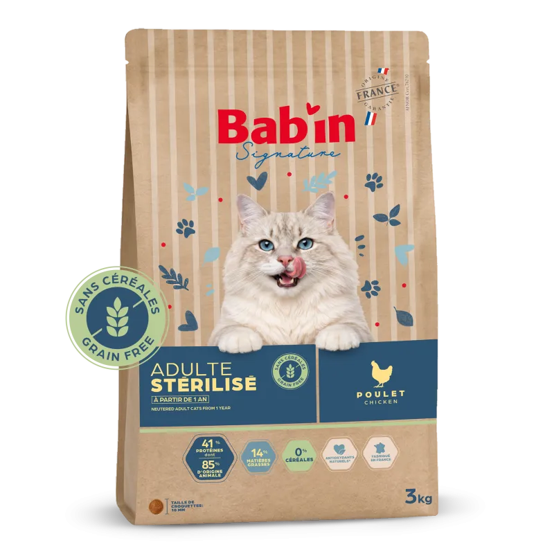 Bab