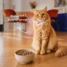 Bab'in Croquettes pour chat Adulte Sans Céréales - Poulet . Intolérance au gluten. Taux élevé de protéines de haute qualité.