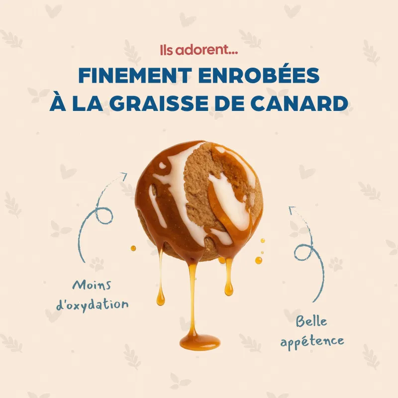 Bab'in Croquettes pour chat Adulte Sans Céréales - Poulet . Intolérance au gluten. Taux élevé de protéines de haute qualité.