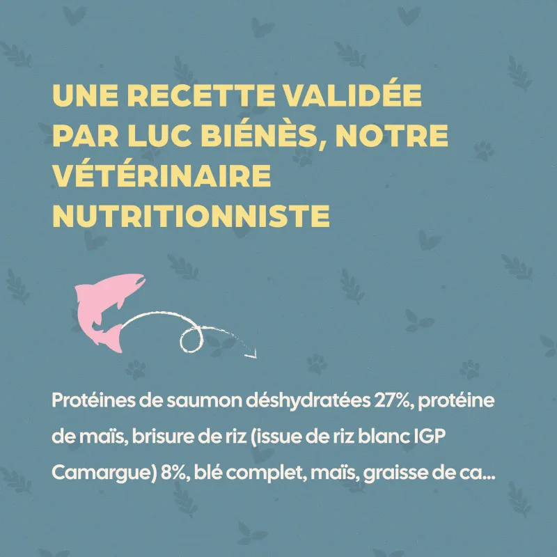 Bab'in Croquettes pour chat Adulte - Saumon. Hautement digestible. Taux élevé de protéines de haute qualité.