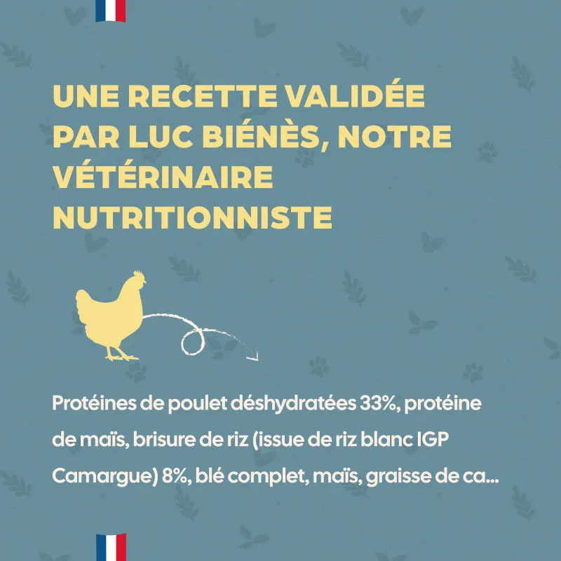 Bab'in Croquettes pour chat Adulte - Poulet. Hautement digestible. Taux élevé de protéines de haute qualité.