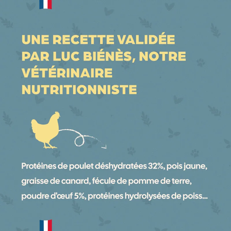 Croquettes Chaton Bab'in | Croissance et équilibre dès le sevrage