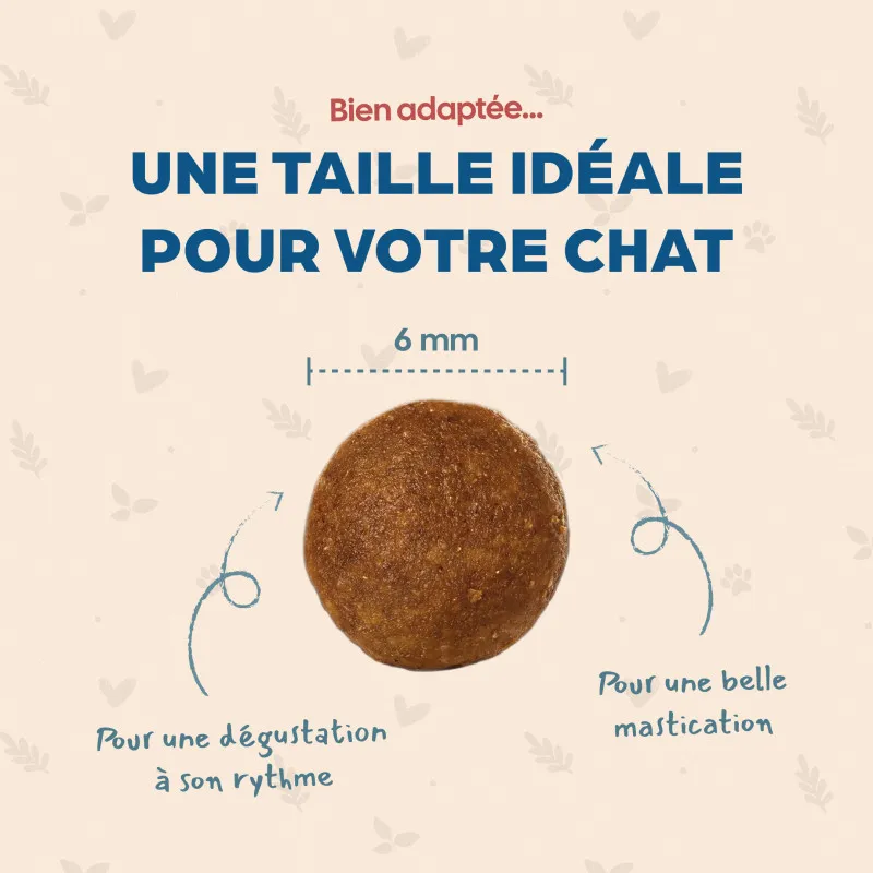 Croquettes Chaton Bab'in | Croissance et équilibre dès le sevrage