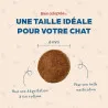 Croquettes Chaton Bab'in | Croissance et équilibre dès le sevrage