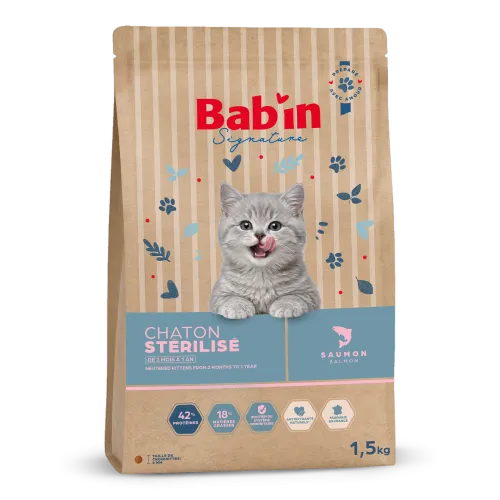 Chaton Stérilisé - Saumon