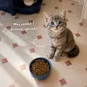Croquettes Chaton stérilisé Bab'in au saumon | Croissance et peau saine