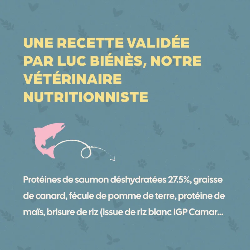 Croquettes Chaton stérilisé Bab'in au saumon | Croissance et peau saine