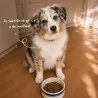 Croquettes chien Sénior Maxi Poulet Babin | Vitalité & mobilité du chien âgé