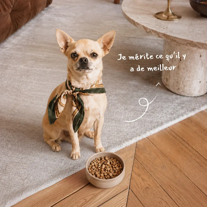 Croquettes chien Mini Sénior Babin au poulet | Petits chiens âgés en forme
