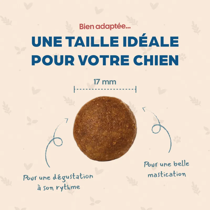 Bab'in Croquettes pour chien adulte stérilisé - Canard