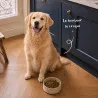 Croquettes Sans Céréales Mini Babin | Petits chiens sensibles