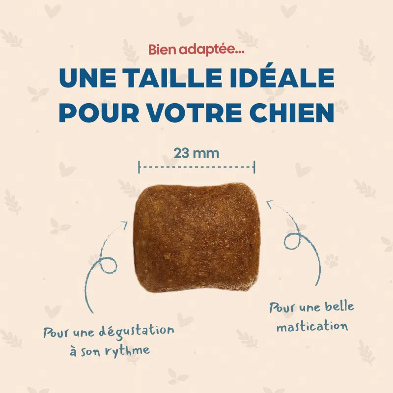 Croquettes Sans Céréales Mini Babin | Petits chiens sensibles