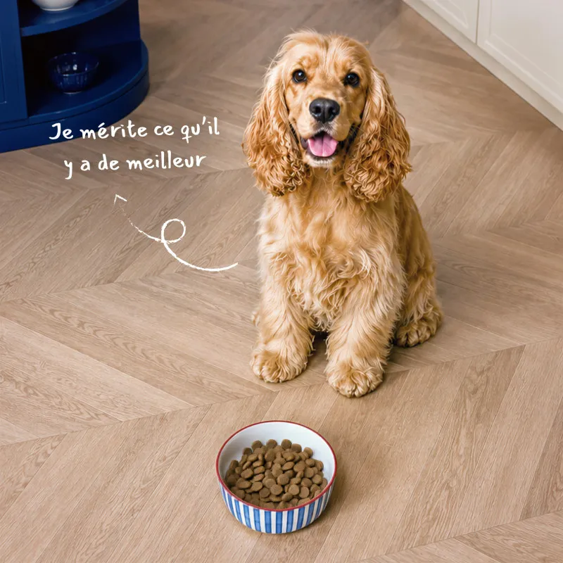 Croquettes Médium chien Stérilisé Babin | Poulet et Énergie contrôlée adulte
