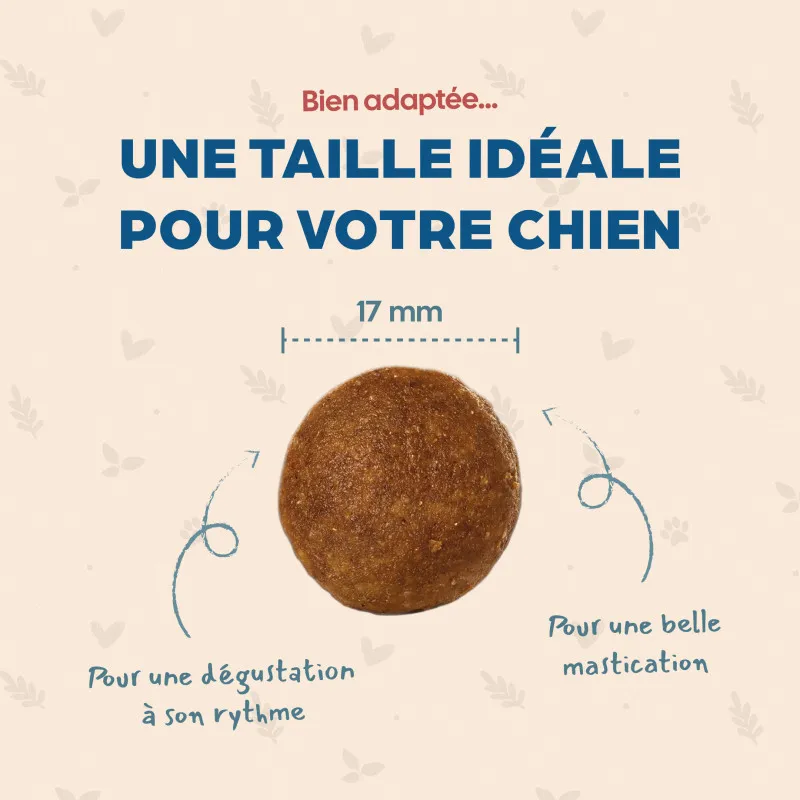 Croquettes Médium chien Stérilisé Babin | Poulet et Énergie contrôlée adulte