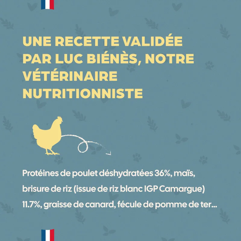 Croquettes petit chien Stérilisé Babin 🐾 | Ligne & vitalité petit chien stérilisé