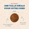 Croquettes petit chien Stérilisé Babin 🐾 | Ligne & vitalité petit chien stérilisé