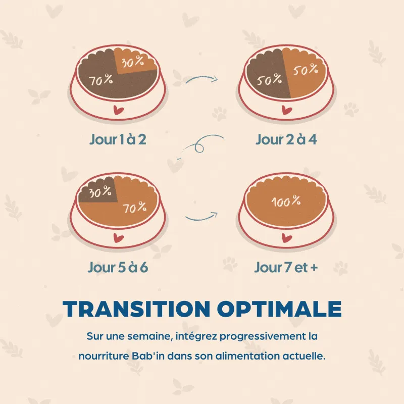 Croquettes petit chien Stérilisé Babin 🐾 | Ligne & vitalité petit chien stérilisé