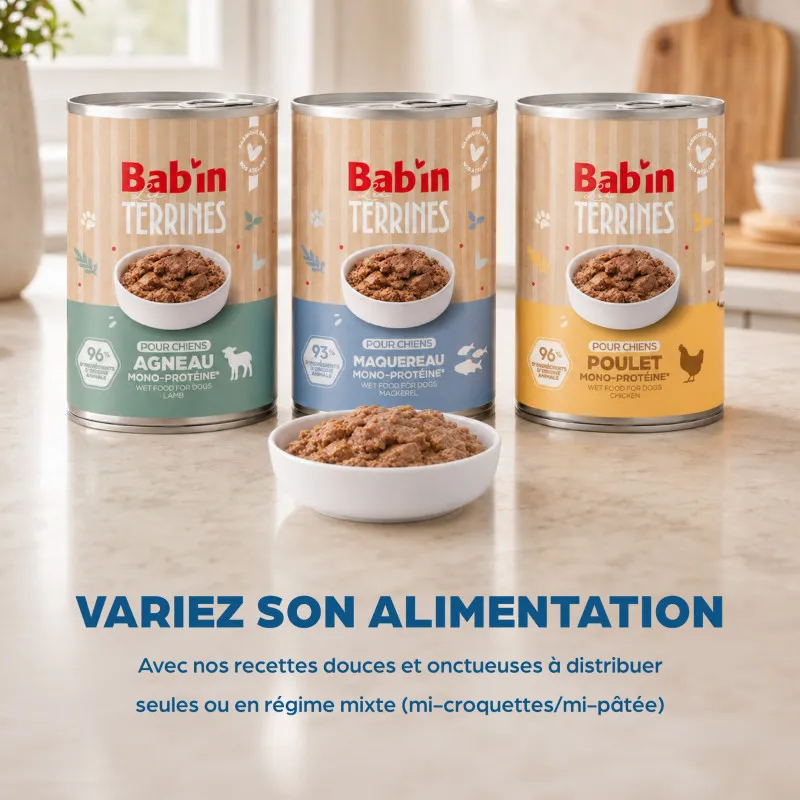 Croquettes petit chien Stérilisé Babin 🐾 | Ligne & vitalité petit chien stérilisé