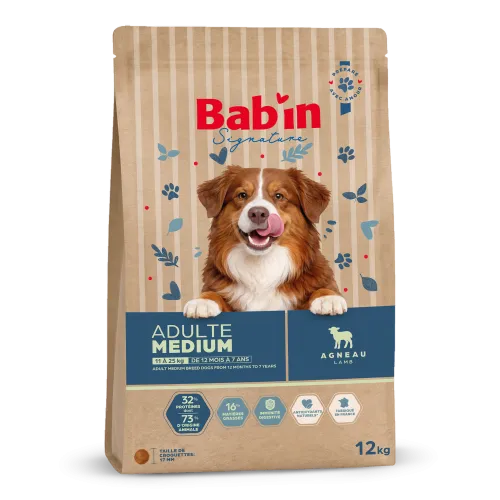 Medium Adulte - Agneau