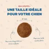 Bab'in Croquettes pour chien adulte - Agneau