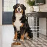 Croquettes chien Races Géantes Babin | Nutrition chien adulte très grande taille