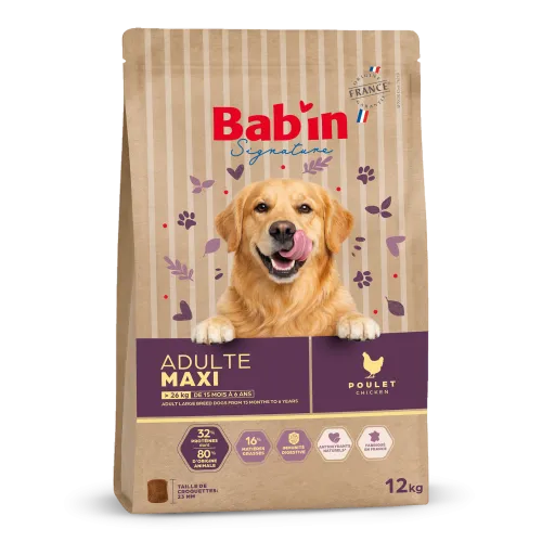 Maxi Adulte - Poulet