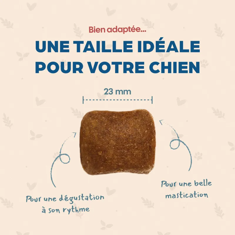 Croquettes Maxi Adulte Poulet Babin | Chiens de grande taille 🐾