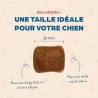 Croquettes Maxi Adulte Poulet Babin | Chiens de grande taille 🐾