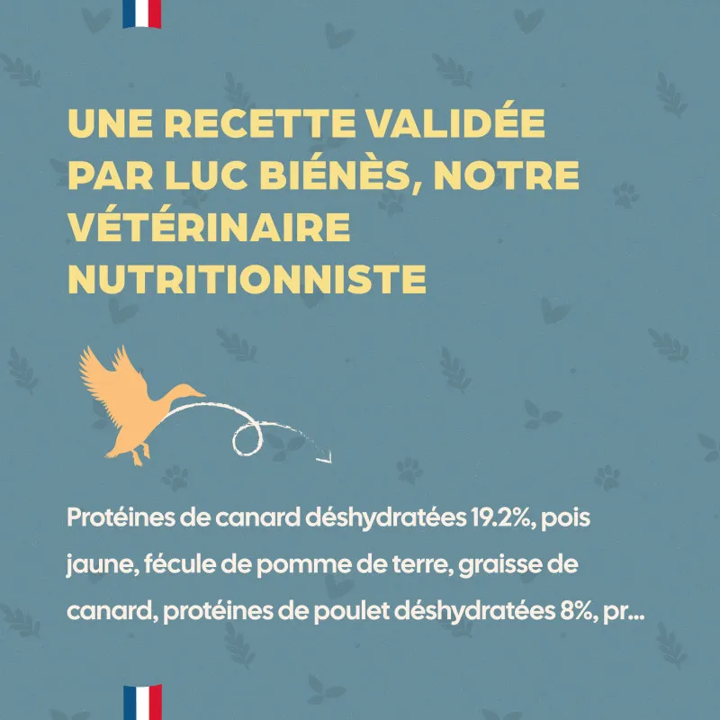 Croquettes chien au Canard Babin sans céréales | Adultes sensibles, Intolérance au gluten