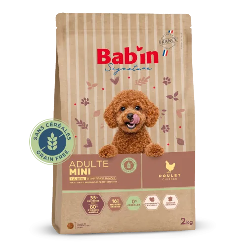 Mini Adulte Sans Céréales
