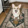 Croquettes Sans Céréales Petits chiens sensibles | Mini Babin  🐾