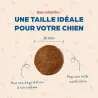 Croquettes Sans Céréales Petits chiens sensibles | Mini Babin  🐾