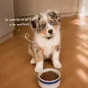 Croquettes chien Junior Médium Babin au poulet | Croissance et vitalité