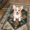 Croquettes chien Mini Junior Poulet croissance Bab’in | Pour petits chiots