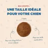 Croquettes chien Mini Junior Poulet croissance Bab’in | Pour petits chiots